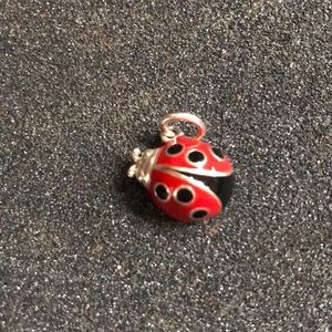Tiffany & Co Ladybug Charm